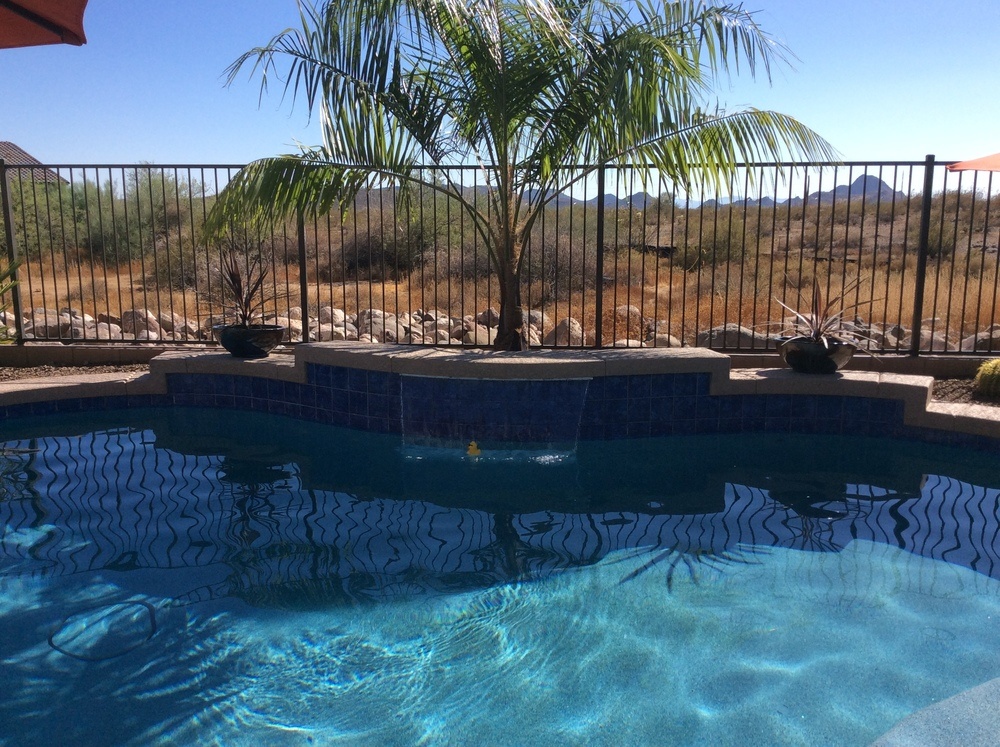 POOL BUILD HIGHLIGHT: THE HEDMAN FAMILY OF PHOENIX, AZ